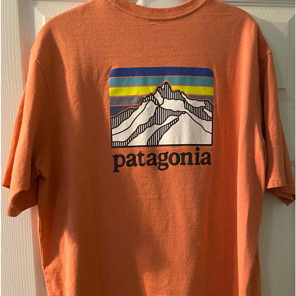 Brand NEW! Never worn. Without tags. Patagonia Pocket T-Shirt.